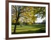 Autumn Golf-Charles Bowman-Framed Photographic Print