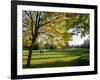 Autumn Golf-Charles Bowman-Framed Photographic Print