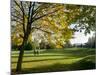 Autumn Golf-Charles Bowman-Mounted Photographic Print