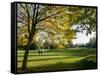 Autumn Golf-Charles Bowman-Framed Stretched Canvas