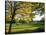 Autumn Golf-Charles Bowman-Stretched Canvas