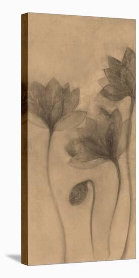Autumn Grace I-Emma Forrester-Stretched Canvas