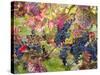 Autumn Grapes and Vines, Denbies Vineyard, Dorking, Surrey, England, United Kingdom, Europe-Miller John-Stretched Canvas