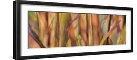 Autumn Grass Scape-Cora Niele-Framed Photographic Print