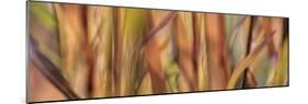 Autumn Grass Scape-Cora Niele-Mounted Photographic Print
