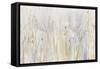Autumn Grass-Avery Tillmon-Framed Stretched Canvas
