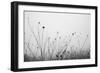 Autumn Grasses-Aledanda-Framed Photographic Print