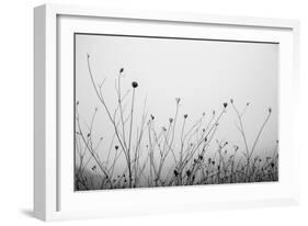 Autumn Grasses-Aledanda-Framed Photographic Print