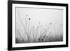 Autumn Grasses-Aledanda-Framed Photographic Print