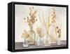 Autumn Greenhouse I Brown-Julia Purinton-Framed Stretched Canvas