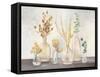 Autumn Greenhouse I Neutral-Julia Purinton-Framed Stretched Canvas