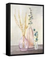 Autumn Greenhouse III-Julia Purinton-Framed Stretched Canvas