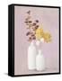 Autumn Greenhouse VI-Julia Purinton-Framed Stretched Canvas