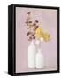 Autumn Greenhouse VI-Julia Purinton-Framed Stretched Canvas