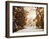 Autumn Greets Winter-Jessica Jenney-Framed Photographic Print