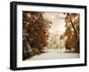 Autumn Greets Winter-Jessica Jenney-Framed Photographic Print