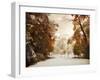 Autumn Greets Winter-Jessica Jenney-Framed Photographic Print