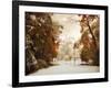 Autumn Greets Winter-Jessica Jenney-Framed Photographic Print