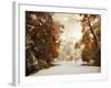 Autumn Greets Winter-Jessica Jenney-Framed Photographic Print