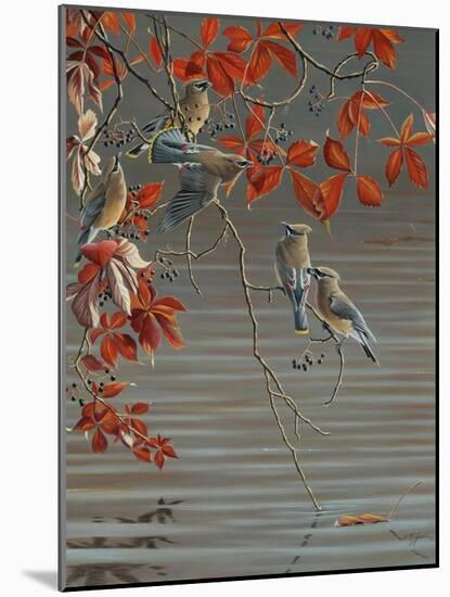 Autumn Harvest - Cedar Waxwing-Wilhelm Goebel-Mounted Giclee Print