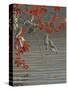 Autumn Harvest - Cedar Waxwing-Wilhelm Goebel-Stretched Canvas
