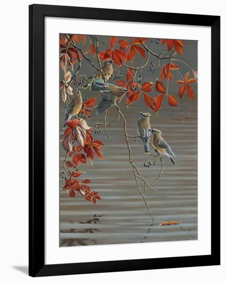 Autumn Harvest - Cedar Waxwing-Wilhelm Goebel-Framed Giclee Print