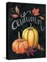 Autumn Harvest I Gold Pumpkin-Mary Urban-Stretched Canvas