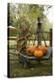 Autumn Harvest II-Philip Clayton-thompson-Stretched Canvas