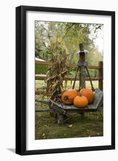 Autumn Harvest II-Philip Clayton-thompson-Framed Photographic Print