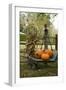 Autumn Harvest II-Philip Clayton-thompson-Framed Photographic Print