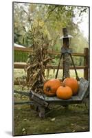 Autumn Harvest II-Philip Clayton-thompson-Mounted Photographic Print