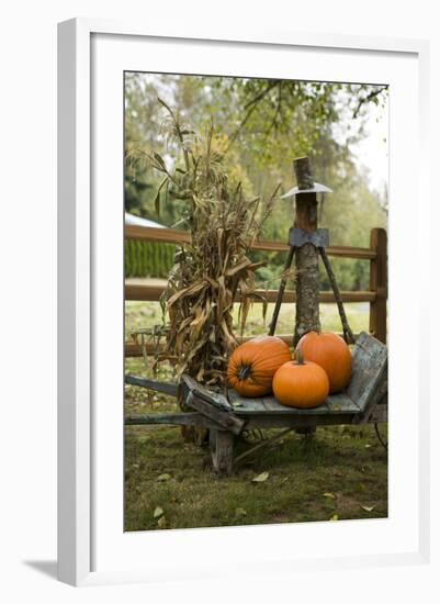 Autumn Harvest II-Philip Clayton-thompson-Framed Photographic Print