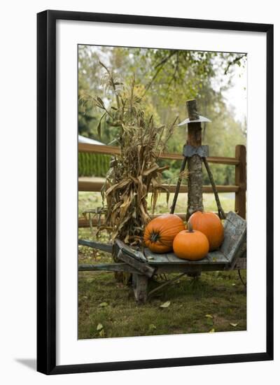 Autumn Harvest II-Philip Clayton-thompson-Framed Photographic Print