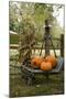 Autumn Harvest II-Philip Clayton-thompson-Mounted Photographic Print