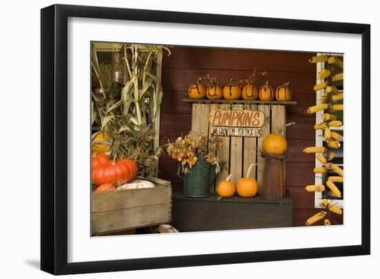 Autumn Harvest III-Philip Clayton-thompson-Framed Photographic Print