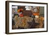 Autumn Harvest IV-Philip Clayton-thompson-Framed Photographic Print