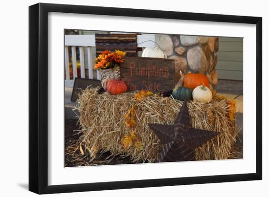 Autumn Harvest IV-Philip Clayton-thompson-Framed Photographic Print