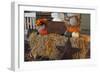 Autumn Harvest IV-Philip Clayton-thompson-Framed Photographic Print