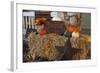 Autumn Harvest IV-Philip Clayton-thompson-Framed Photographic Print