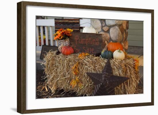 Autumn Harvest IV-Philip Clayton-thompson-Framed Photographic Print