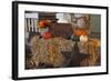 Autumn Harvest IV-Philip Clayton-thompson-Framed Photographic Print