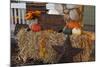 Autumn Harvest IV-Philip Clayton-thompson-Mounted Photographic Print