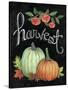 Autumn Harvest IV-Mary Urban-Stretched Canvas