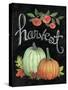 Autumn Harvest IV-Mary Urban-Stretched Canvas