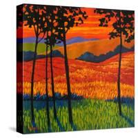 Autumn Harvest-Patty Baker-Stretched Canvas