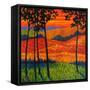 Autumn Harvest-Patty Baker-Framed Stretched Canvas