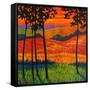 Autumn Harvest-Patty Baker-Framed Stretched Canvas