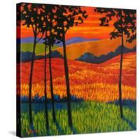 Autumn Harvest-Patty Baker-Stretched Canvas