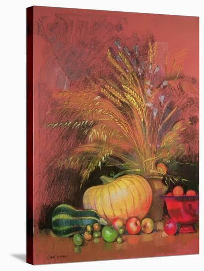 Autumn Harvest-Claire Spencer-Stretched Canvas