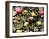 Autumn Harvest-Dorothy Berry-Lound-Framed Giclee Print